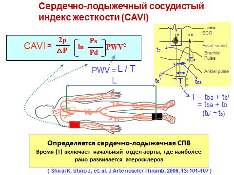 Определение жесткости сосудистой стенки