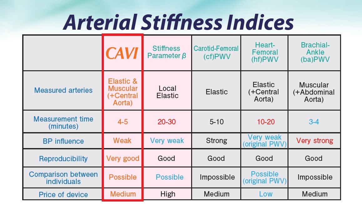 CAVI индекс жесткости артерий сфигмометрия